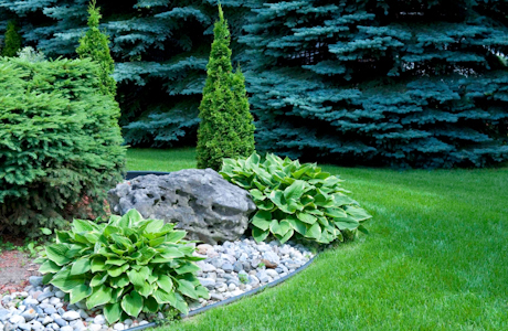 Laguna Niguel Landscape Contractors Insurance