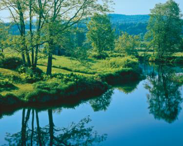 Laguna Niguel Landowners Insurance